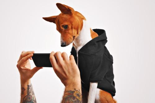 cute-doggie-casual-streetwear-clothes-curiously-watches-video-black-smartphone-held-by-man-with-tattooed-arms (1)